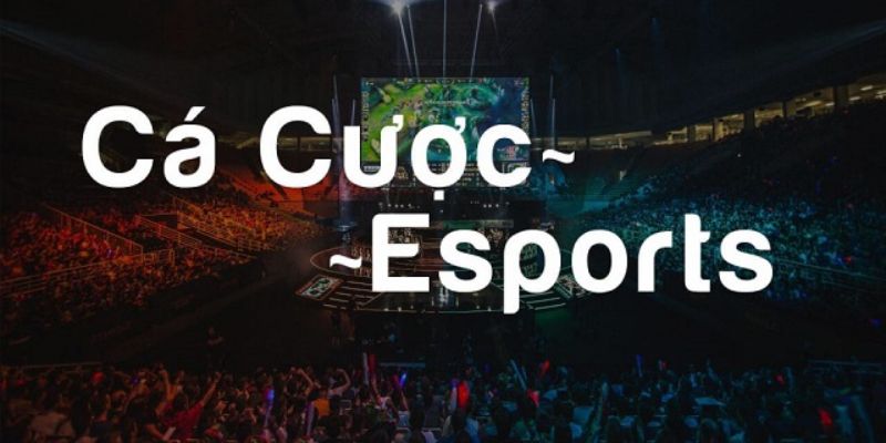 Cá cược Esport là gì?